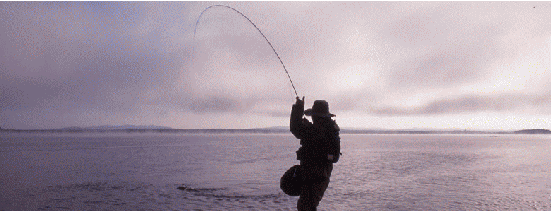 ジュピターリンク合資会社イメージ